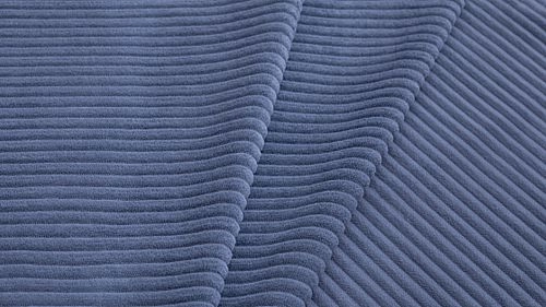 Cilium indigo